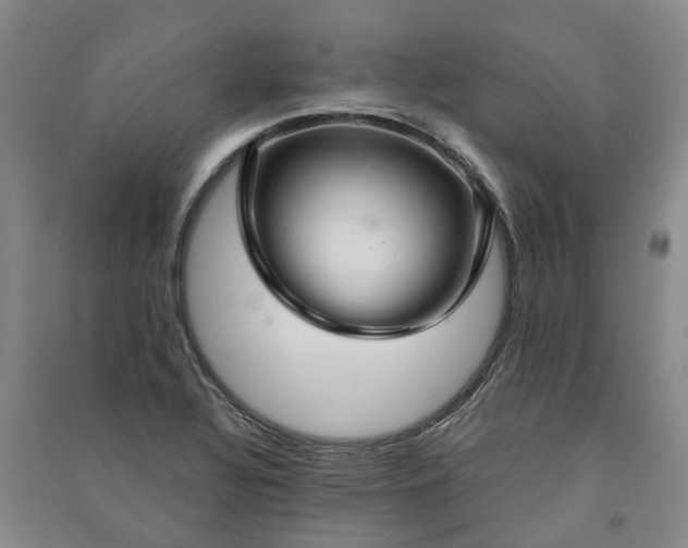 X0000090951320200708161748