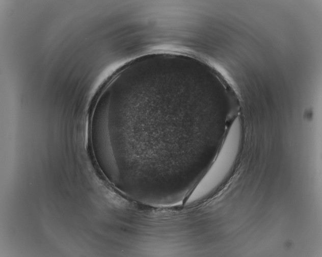 X0000090951323200708161748