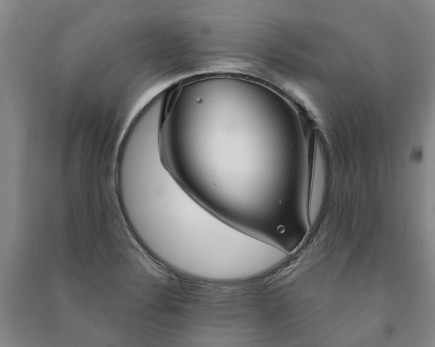 X0000090951324200708161748