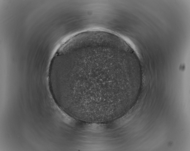 X0000090951327200708161748
