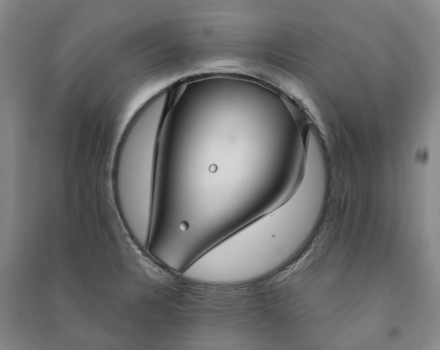X0000090951328200708161748