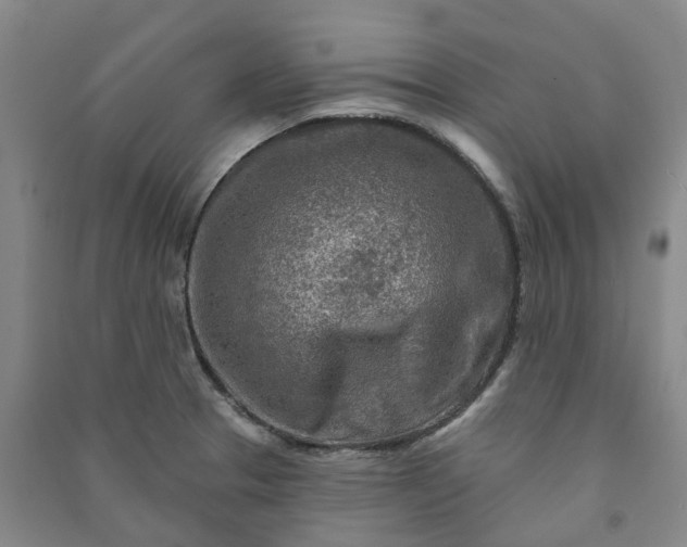 X0000090951329200708161748