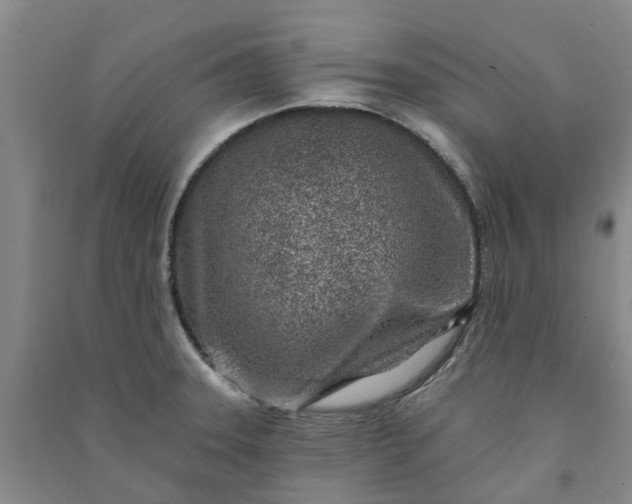 X0000090951331200708161748