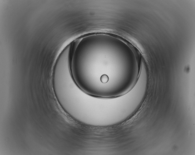 X0000090951332200708161748
