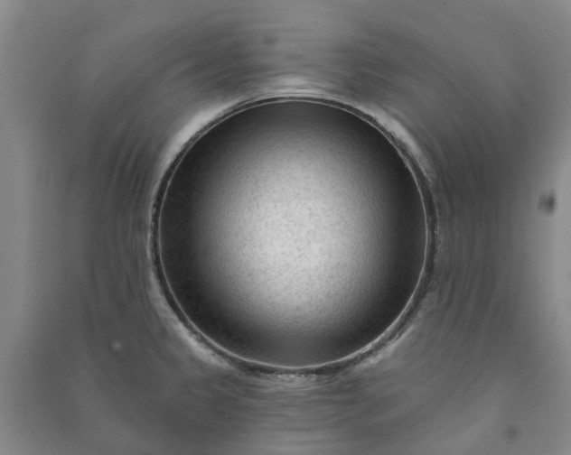 X0000090951333200708161748