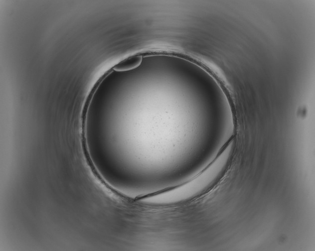 X0000090951335200708161748