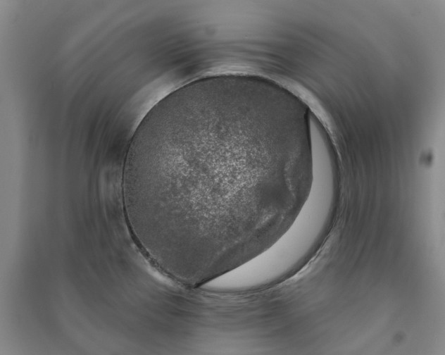 X0000090951337200708161748