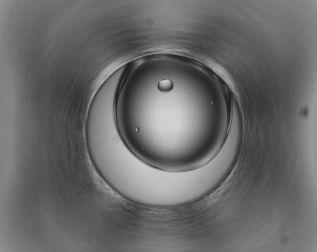 X0000090951338200708161748