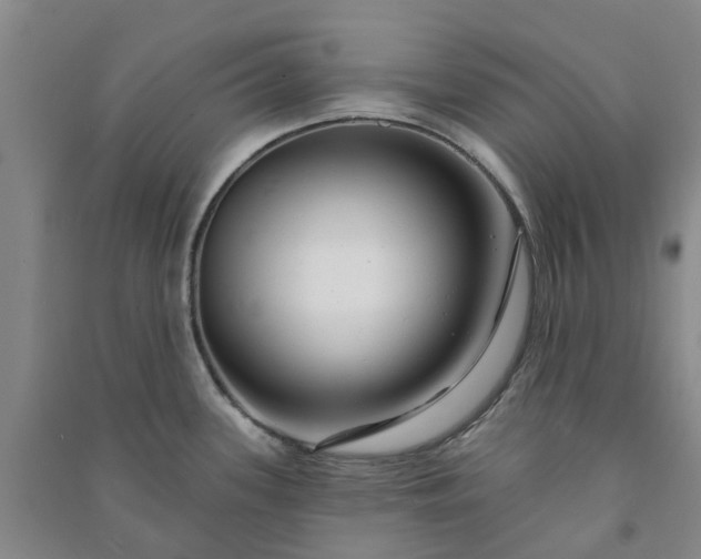 X0000090951339200708161748