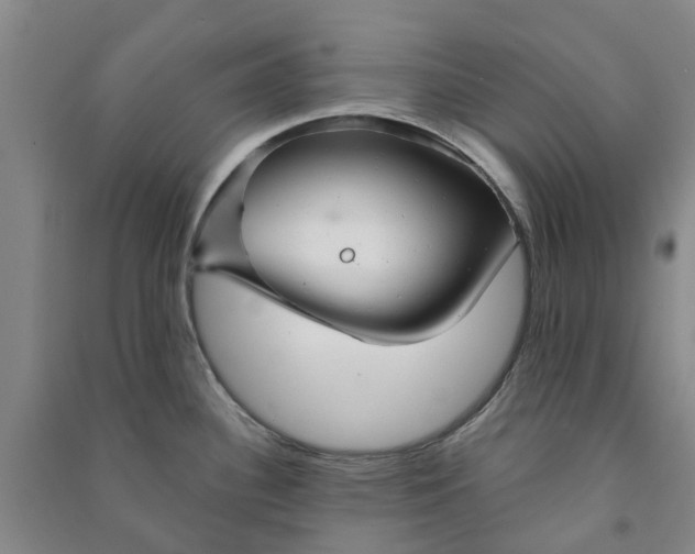 X0000090951340200708161748