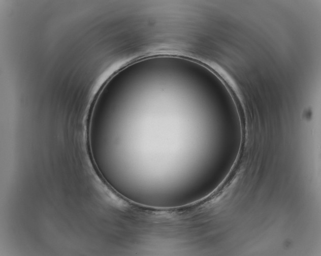 X0000090951341200708161748