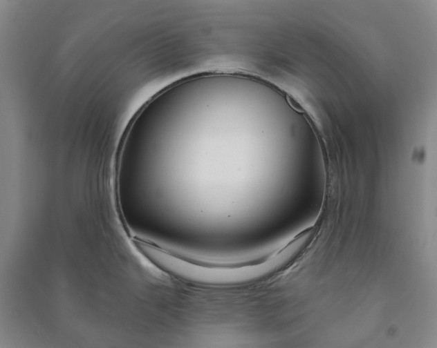 X0000090951343200708161748