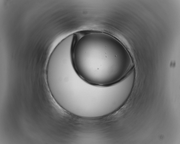 X0000090951344200708161748