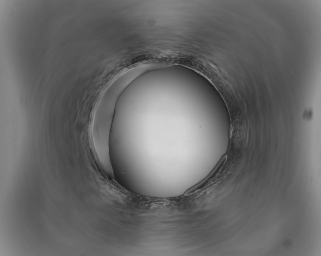 X0000090951345200708161748