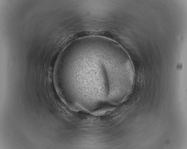 X0000090951346200708161748