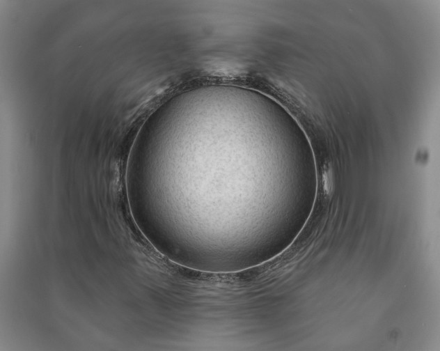 X0000090951347200708161748