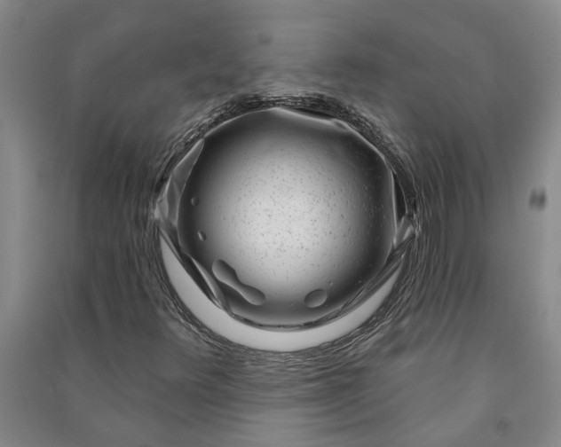 X0000090951348200708161748