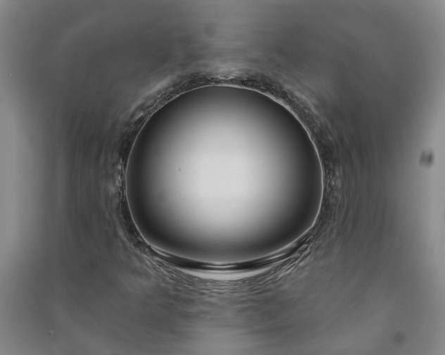 X0000090951349200708161748