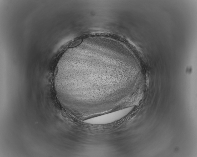 X0000090951351200708161748