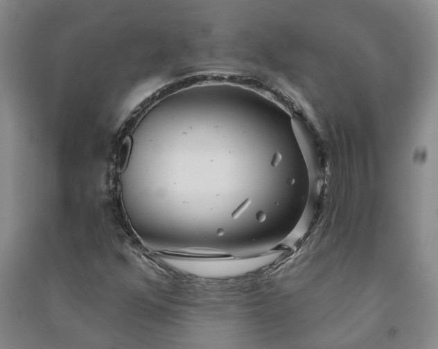 X0000090951352200708161748