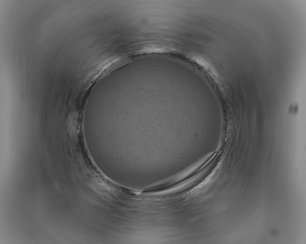 X0000090951353200708161748
