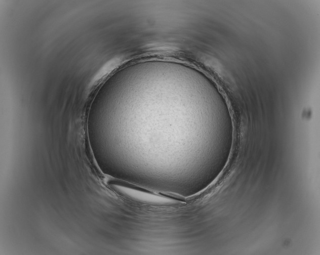 X0000090951354200708161748