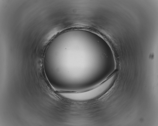 X0000090951355200708161748
