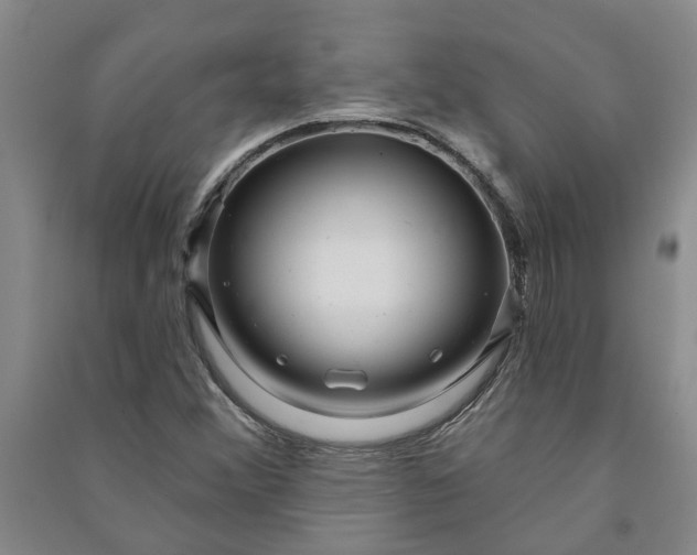 X0000090951356200708161748