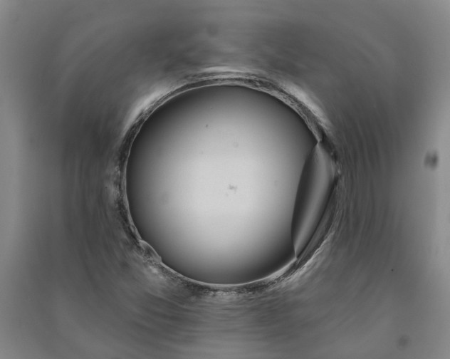 X0000090951357200708161748