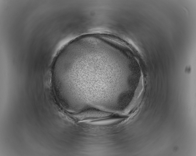 X0000090951358200708161748
