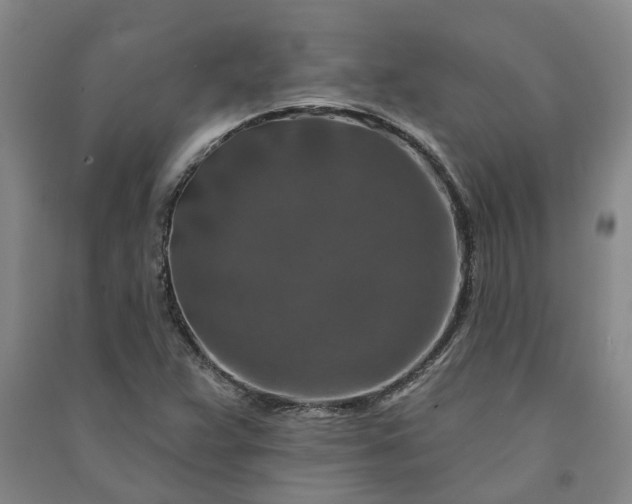 X0000090951359200708161748