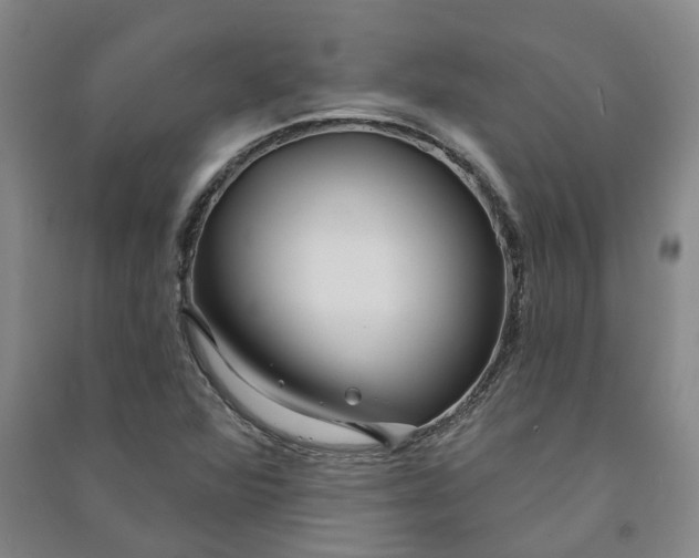 X0000090951360200708161748