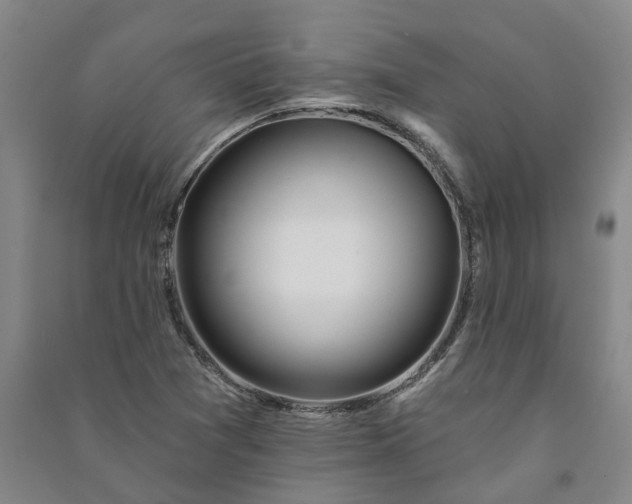 X0000090951361200708161748