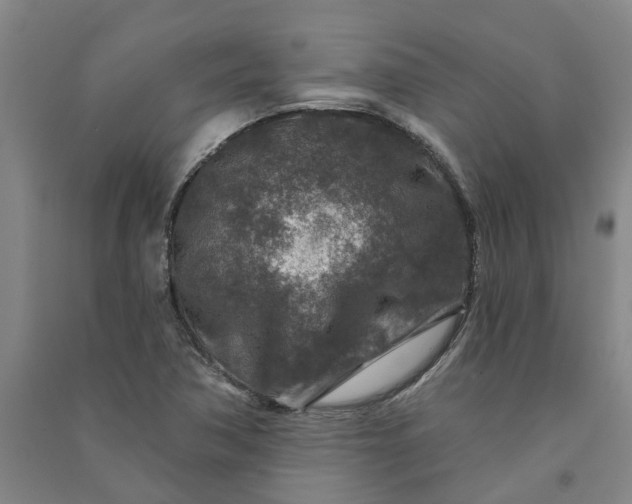 X0000090951362200708161747