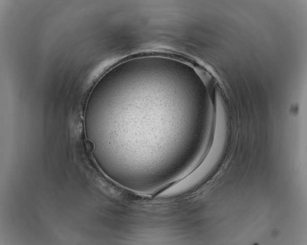 X0000090951363200708161747