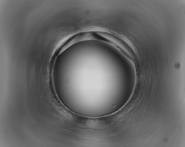 X0000090951364200708161747