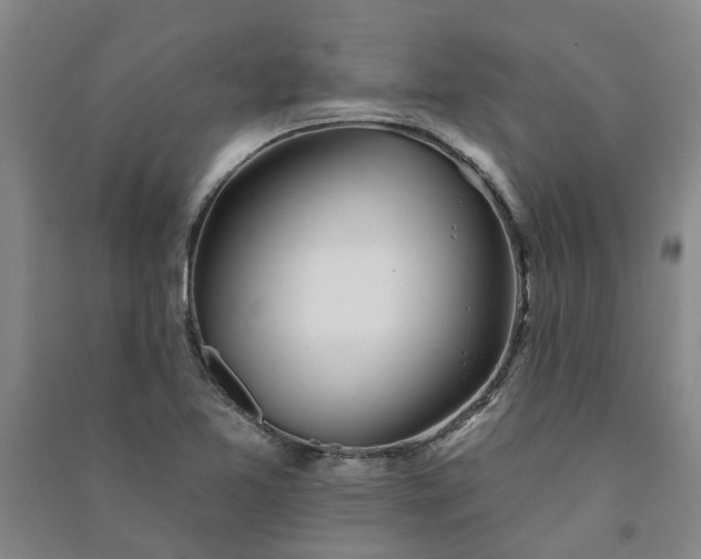 X0000090951365200708161747
