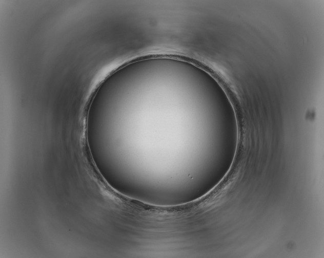 X0000090951366200708161747