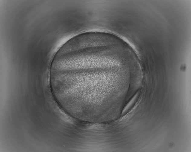 X0000090951367200708161747