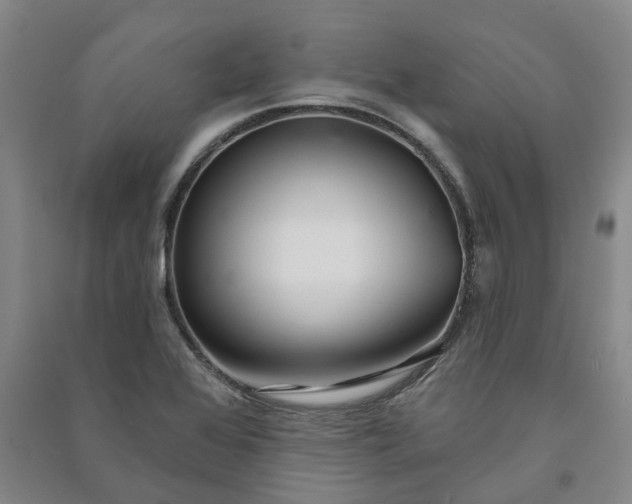 X0000090951368200708161747