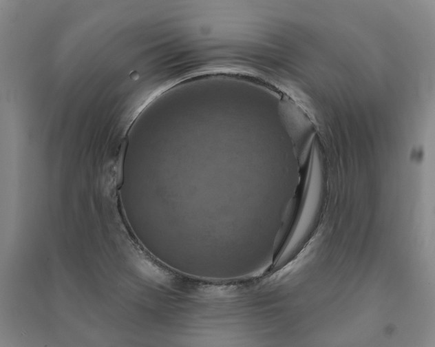 X0000090951369200708161747