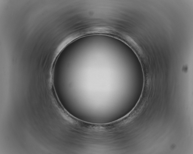 X0000090951370200708161747