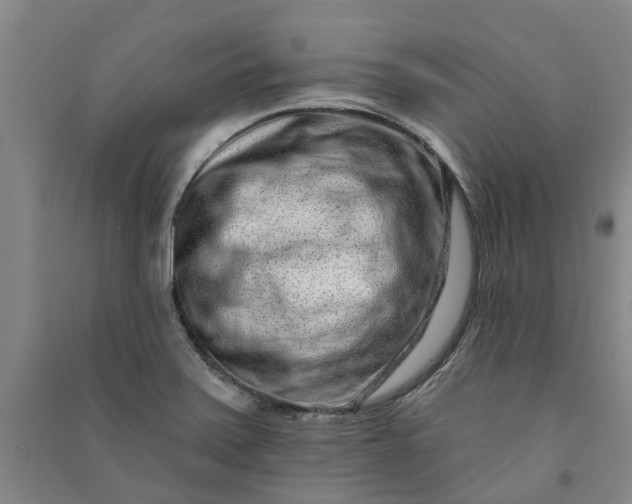 X0000090951371200708161747