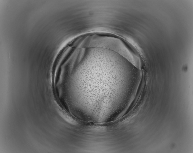 X0000090951372200708161747