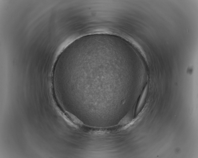 X0000090951373200708161747