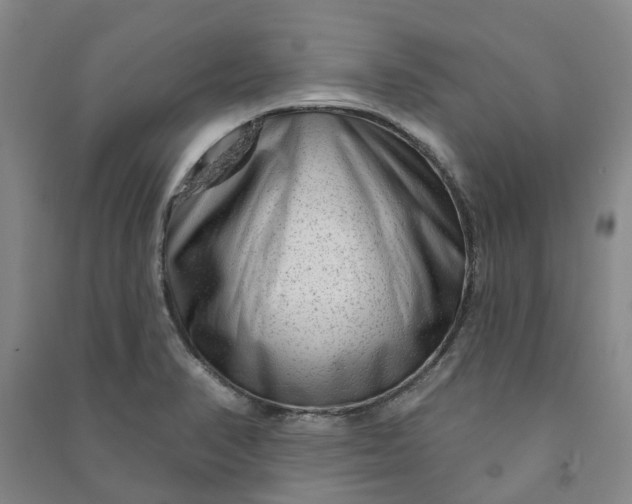X0000090951374200708161747