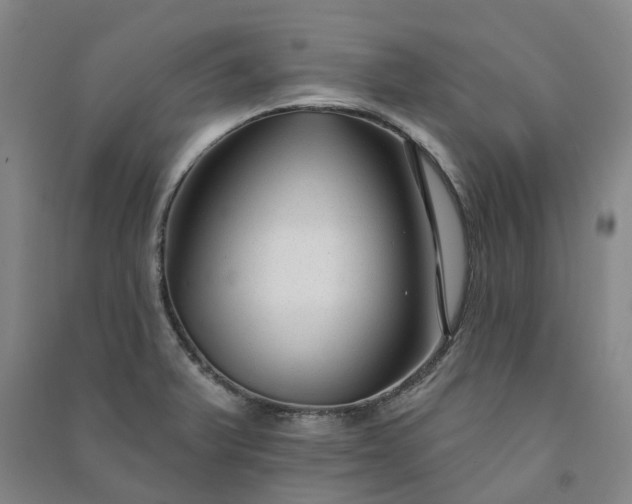 X0000090951375200708161747