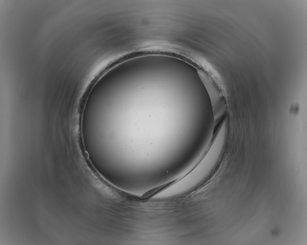 X0000090951376200708161747