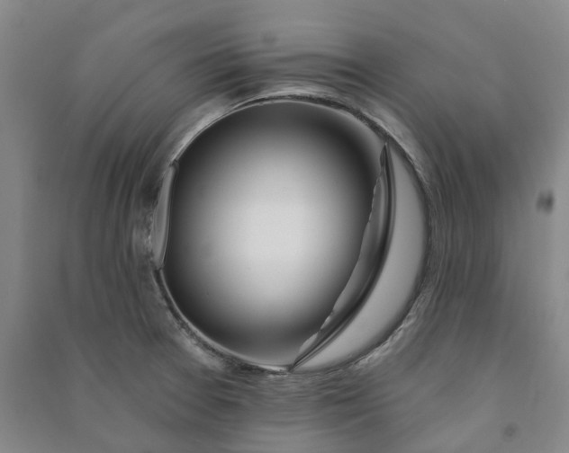 X0000090951377200708161747