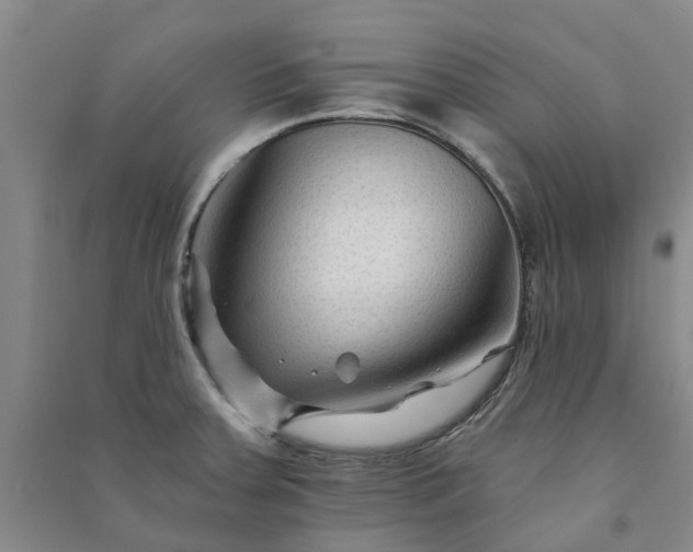 X0000090951379200708161747